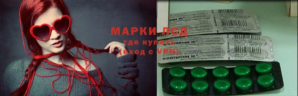 ПСИЛОЦИБИНОВЫЕ ГРИБЫ Алексин