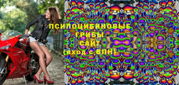 молекула духа Алзамай