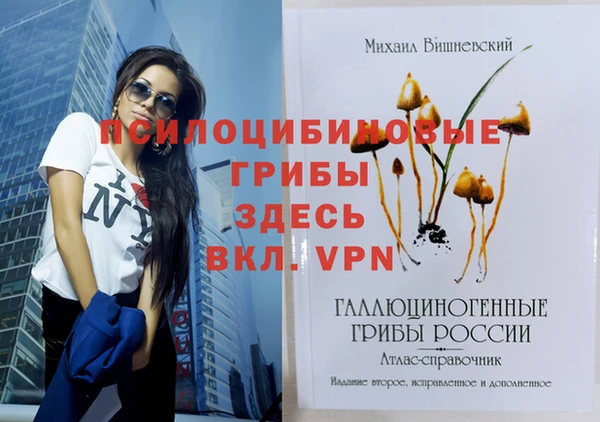 молекула духа Алзамай