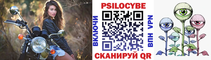 Псилоцибиновые грибы Cubensis  закладка  Медынь 